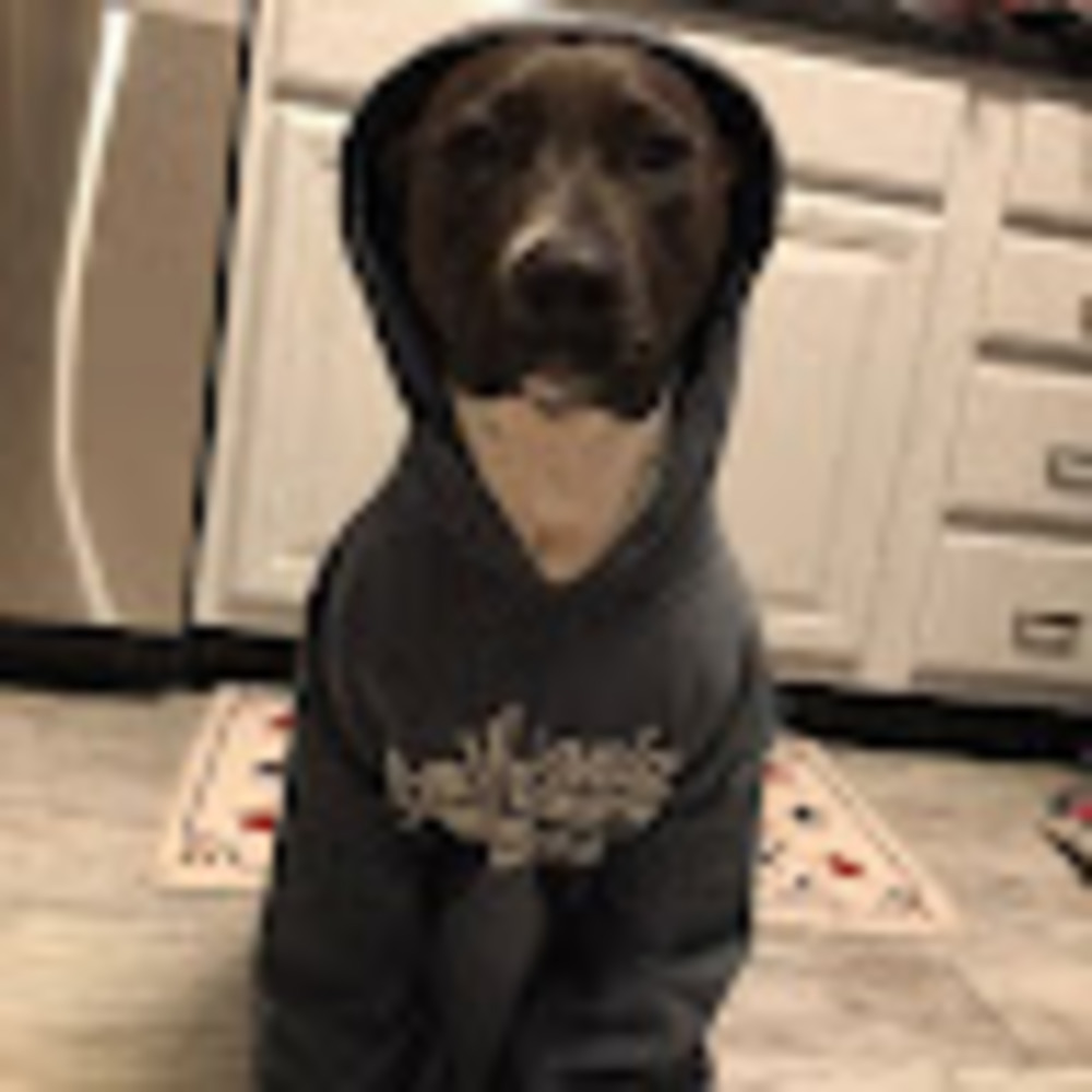 Meet your Posher, Avrah